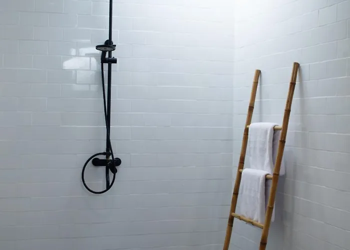Jaya 5
